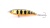 Воблер HUNTER YODA 60мм. BDGH