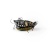 Воблер IMAGO LURES MAYBUG 3F Flow, 2,5гр. Воблер IMAGO LURES MAYBUG 3F Flow, 2,5гр.