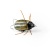 Воблер IMAGO LURES MAYBUG 3F Surface Exclusive, 2,5гр.