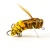 Воблер IMAGO LURES HORNET 35F, 2,7гр., цвет YO