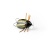 Воблер IMAGO LURES MAYBUG 2.5F Surface Exclusive, 1,4гр.