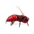 Воблер IMAGO LURES HORNET 35F FLOW (без лопатки), 2,5гр., цвет RB