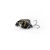 Воблер IMAGO LURES MAYBUG 2.5F Surface, 1,4гр. Воблер IMAGO LURES MAYBUG 2.5F Surface, 1,4гр.