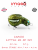 Воблер IMAGO LURES LITTLE MI 3F (плавающий), 2,5гр. цвет - GD Воблер IMAGO LURES LITTLE MI 3F (плавающий), 2,5гр. цвет - GD