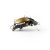 Воблер IMAGO LURES MAYBUG 3.5F Surface Exclusive, 2,5гр.