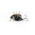 Воблер IMAGO LURES MAYBUG 2.5F Surface Exclusive, 1,4гр.