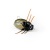 Воблер IMAGO LURES MAYBUG 3.5F Flow, 2,5гр.