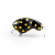 Воблер IMAGO LURES MAMBA 3.5F (плавающий), 3.2гр. цвет - BYD Воблер IMAGO LURES MAMBA 3.5F (плавающий), 3.2гр. цвет - BYD