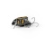 Воблер IMAGO LURES MAYBUG 3F Dive, 2,5гр.