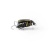 Воблер IMAGO LURES MAYBUG 2.5F Surface, 1,4гр. Воблер IMAGO LURES MAYBUG 2.5F Surface, 1,4гр.