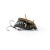 Воблер IMAGO LURES MAYBUG 3F Flow, 2,5гр. Воблер IMAGO LURES MAYBUG 3F Flow, 2,5гр.