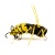 Воблер IMAGO LURES HORNET 35F FLOW (без лопатки), 2,5гр., цвет YB